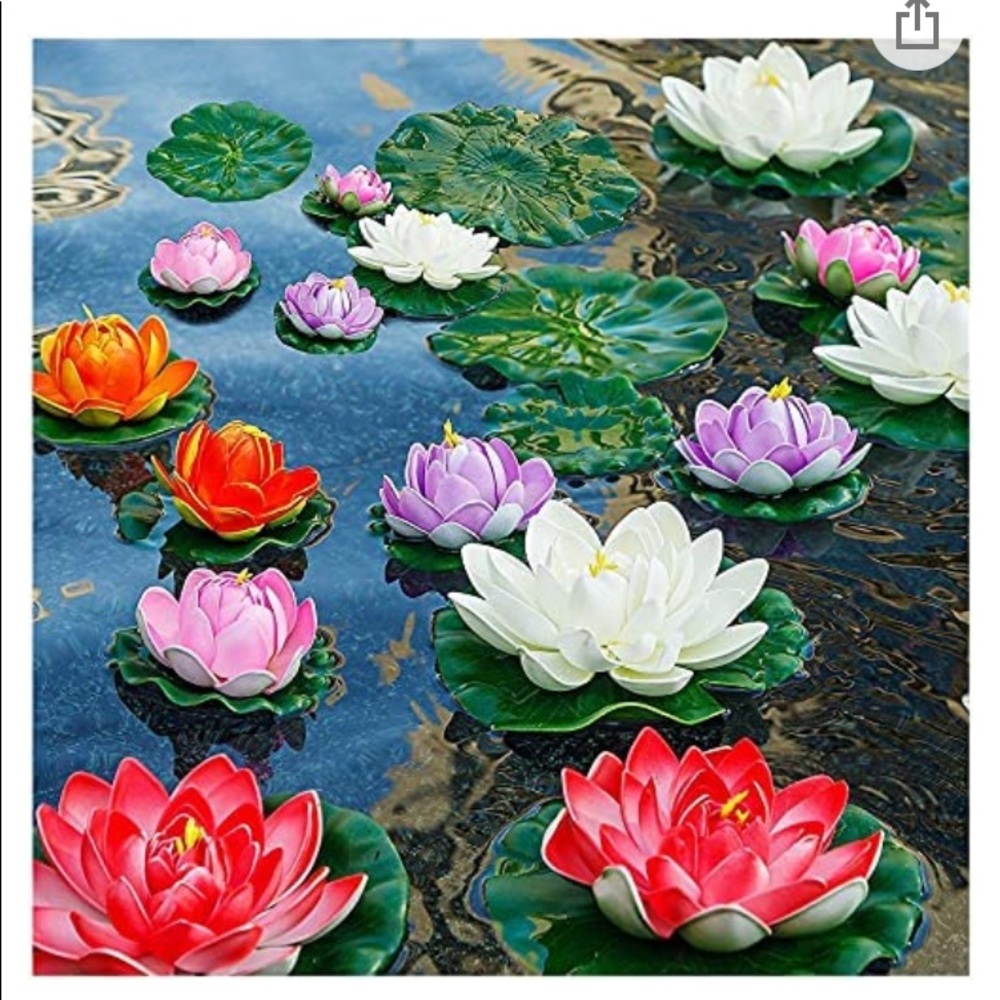 Meet your Posher, Sophia